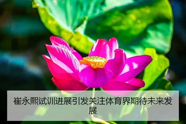 崔永熙试训进展引发关注体育界期待未来发展